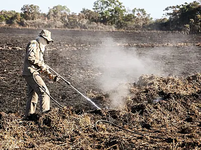 Operação Hefesto ultrapassa 50 dias em combate a incêndios no Pantanal