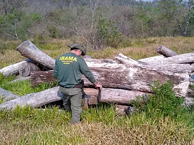 Pressão do TCU aumenta fiscalização no Pantanal e gera multas de R$ 4,7 milhões