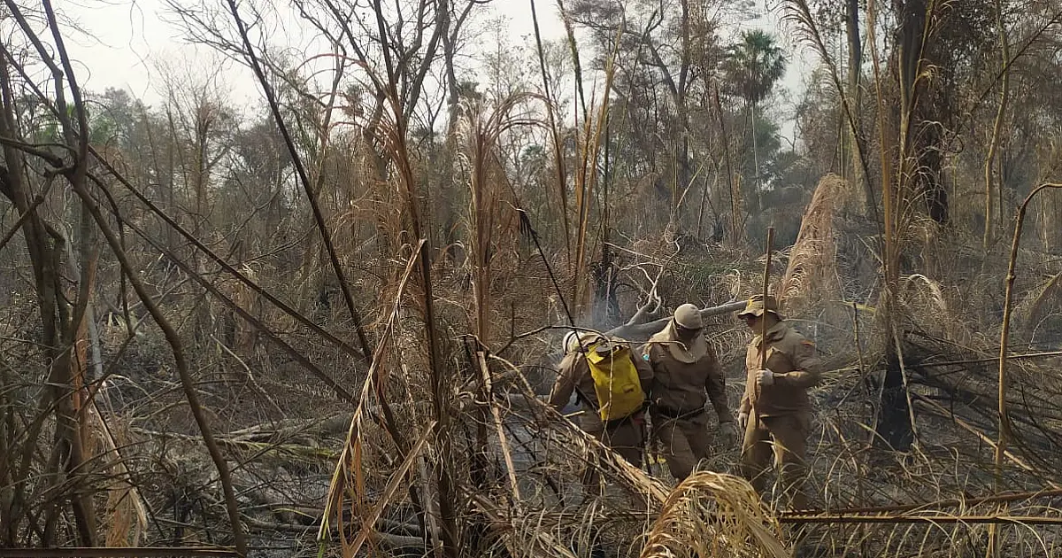 Novos focos de incêndio surgem na região da Nhecolândia