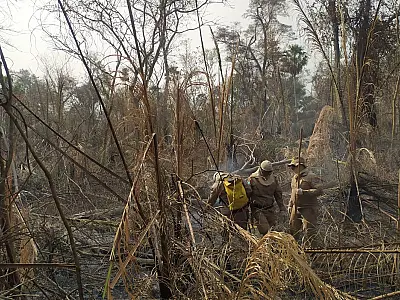 Novos focos de incêndio surgem na região da Nhecolândia