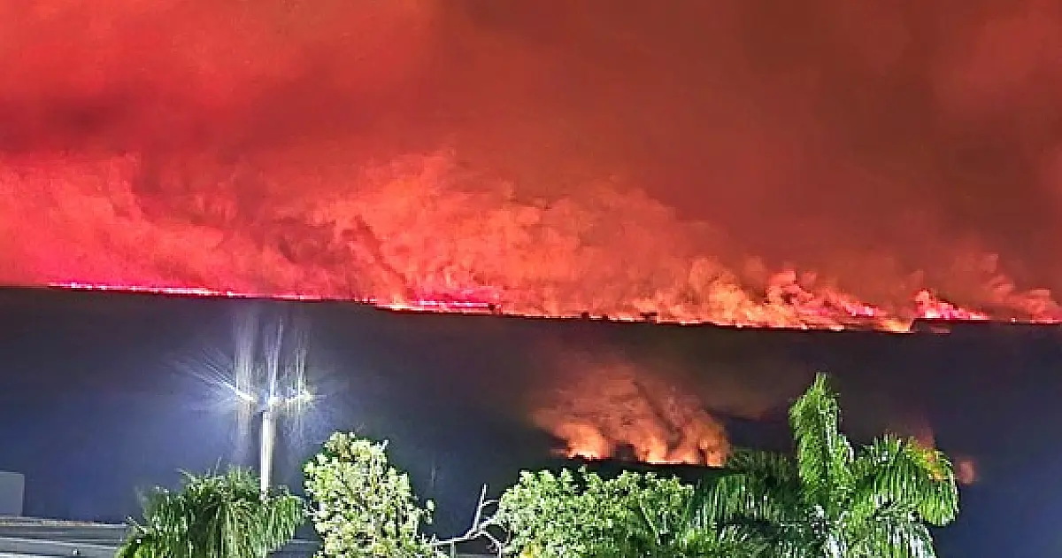 Vereador pede às autoridades federais, estaduais e internacionais que socorram o Pantanal