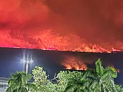 Vereador pede às autoridades federais, estaduais e internacionais que socorram o Pantanal
