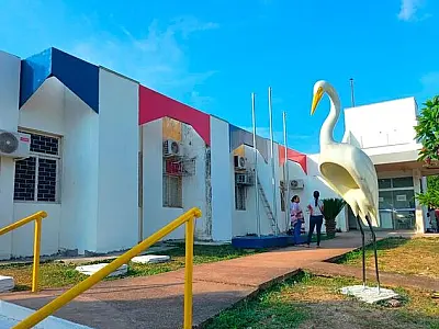 MP apura pagamento irregular a conselheira tutelar na Prefeitura de Ladário