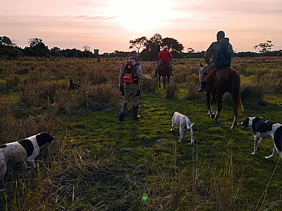 Bombeiros percorrem estradas do Pantanal à procura do trabalhador rural desaparecido