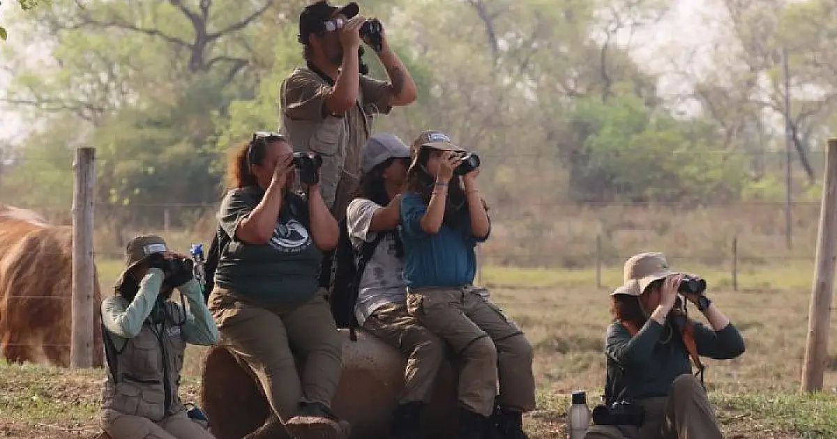 Desafio de observação de aves registra 345 espécies em MS
