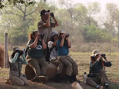 Desafio de observação de aves registra 345 espécies em MS
