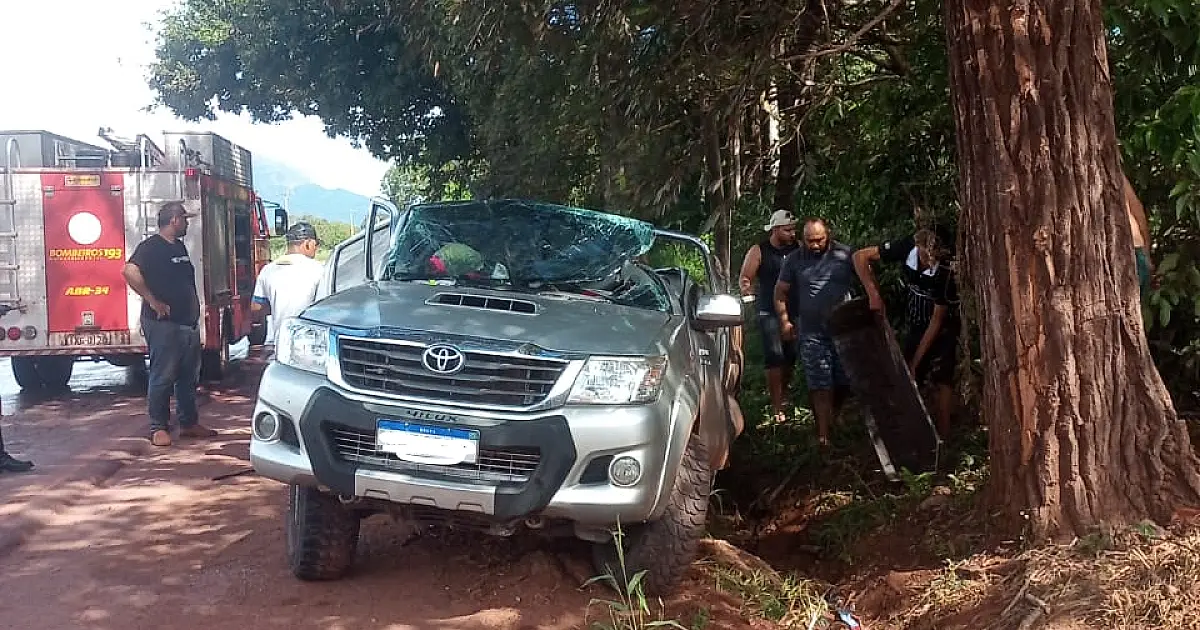 Motorista perde controle, sai da pista e colide em árvore na BR 262