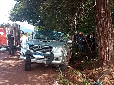 Motorista perde controle, sai da pista e colide em árvore na BR 262