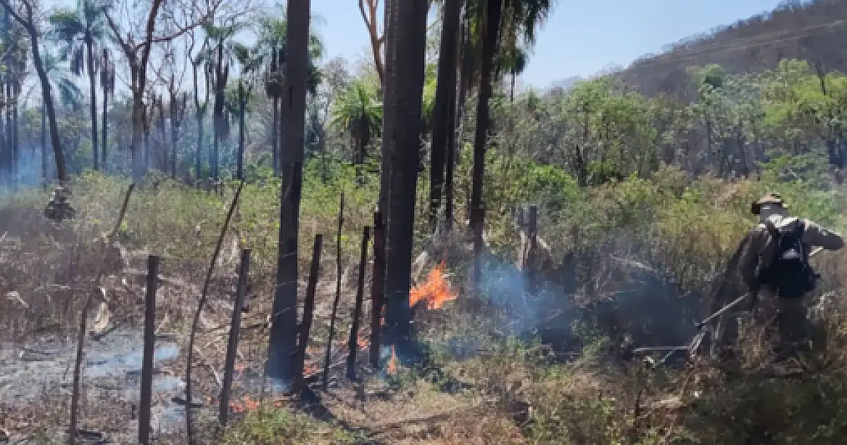 Bombeiros combatem incêndio no assentamento Urucum
