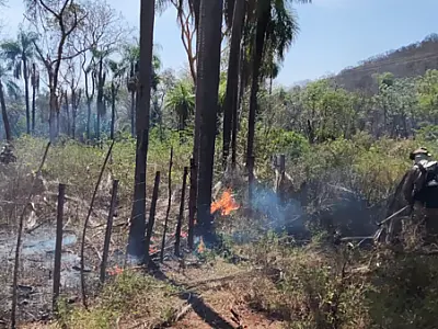 Bombeiros combatem incêndio no assentamento Urucum