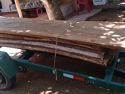 Dono de rancho é multado em R$ 2,4 mil armazenamento e comercialização ilegal