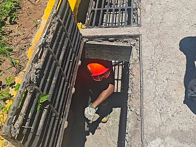 Filhotes de gato são resgatados em bueiro no Jardim dos Estados
