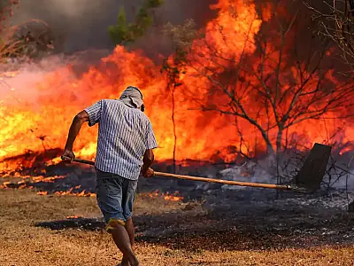Ano de 2024 registrou aumento de 79% de áreas queimadas no Brasil
