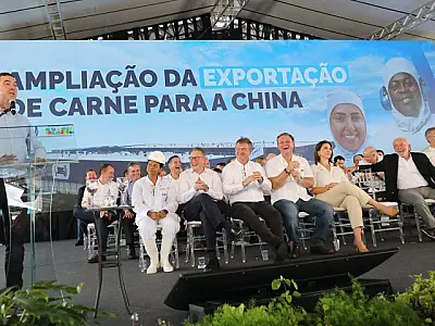 MS quintuplica potencial de abate e exportação de carne bovina para a China