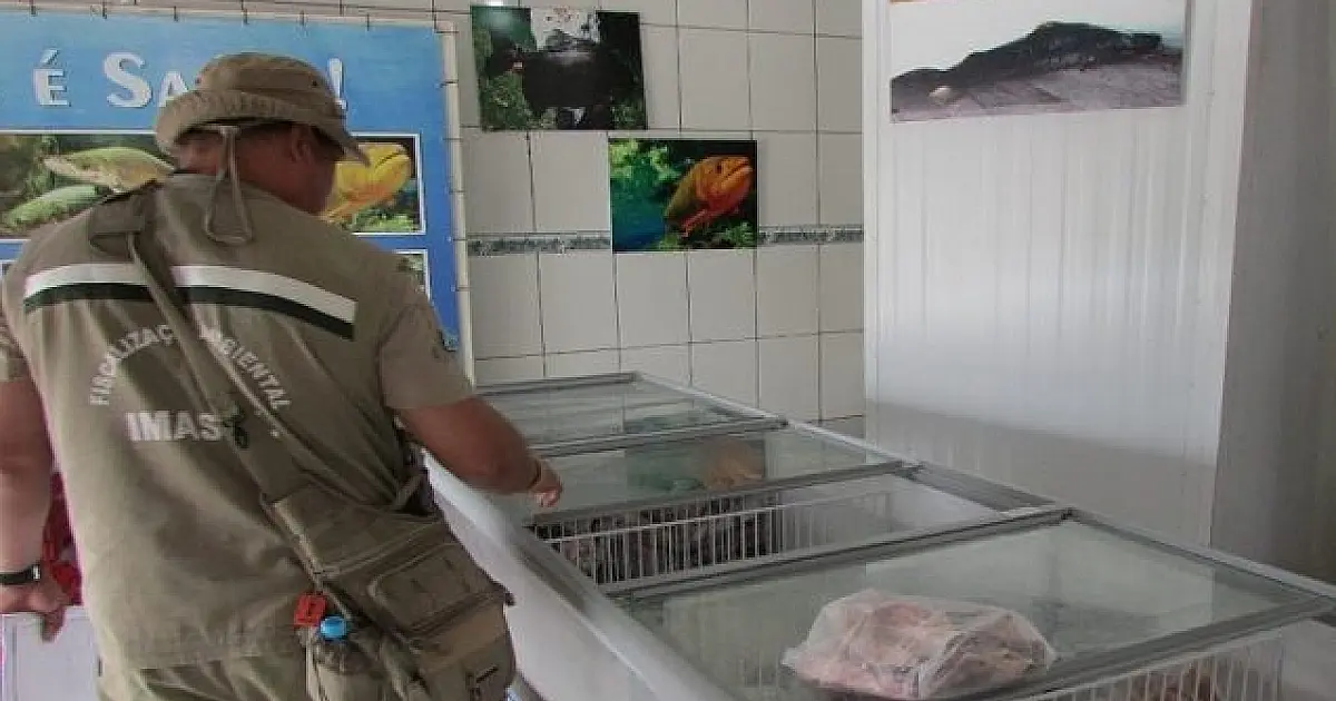 Operação Piracema fiscaliza peixarias e restaurantes a partir desta segunda-feira (8)