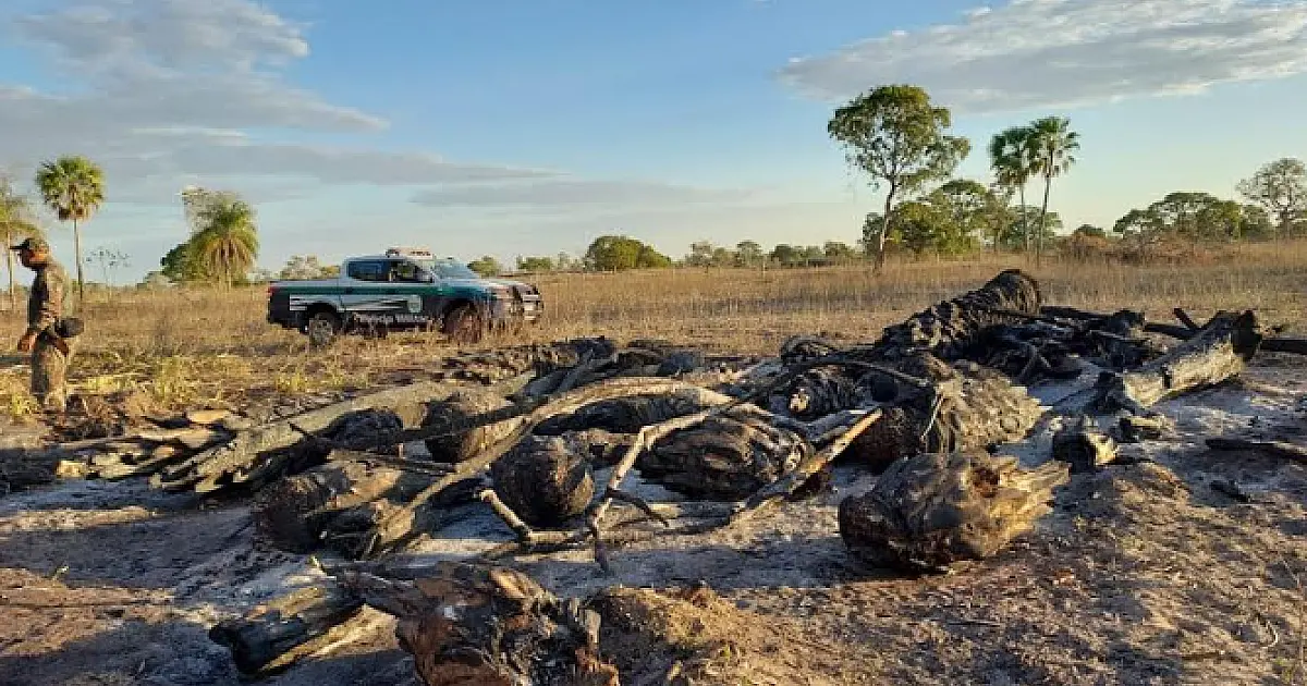 Proprietário rural é flagrado incendiando vegetação na estrada do Carandazal