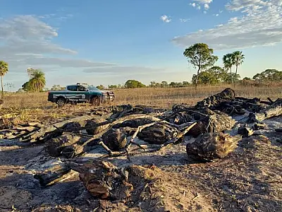 Proprietário rural é flagrado incendiando vegetação na estrada do Carandazal