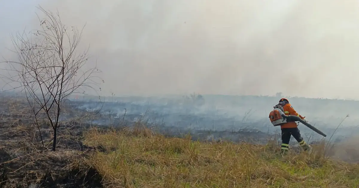 Bombeiros de MS atuam no combate a três incêndios florestais no Pantanal
