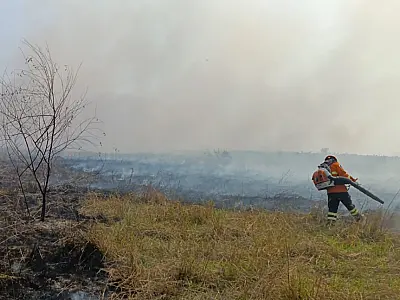 Bombeiros de MS atuam no combate a três incêndios florestais no Pantanal