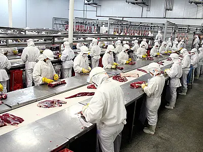 Receita de exportação de industrializados alcança US$ 309 milhões em fevereiro
