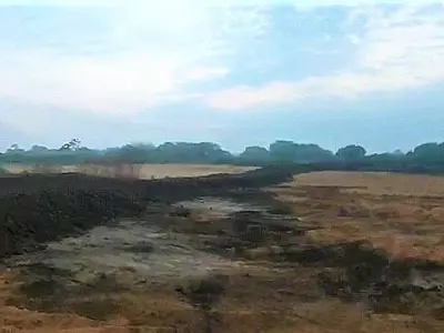 Pantaneiro denuncia construção de barragem no Rio Taquari