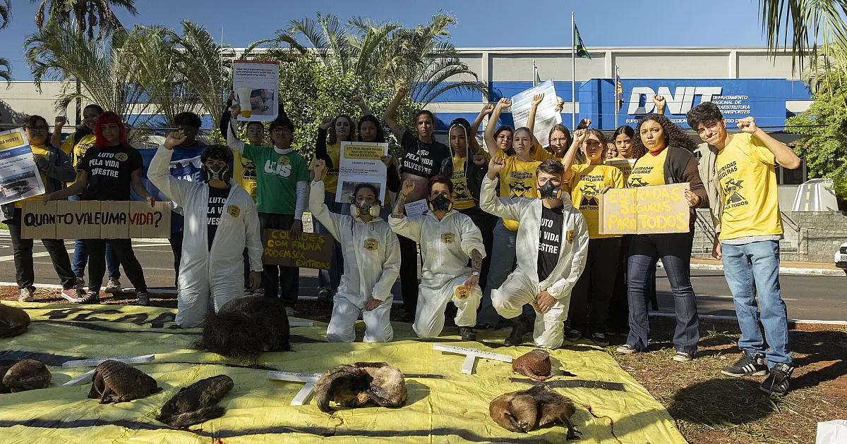 Organizações ambientais protestam contra o atropelamento da fauna silvestre nas rodovias de MS