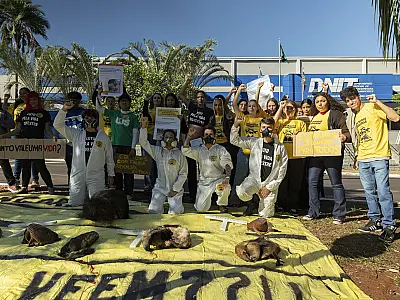 Organizações ambientais protestam contra o atropelamento da fauna silvestre nas rodovias de MS