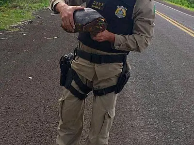 Preservação