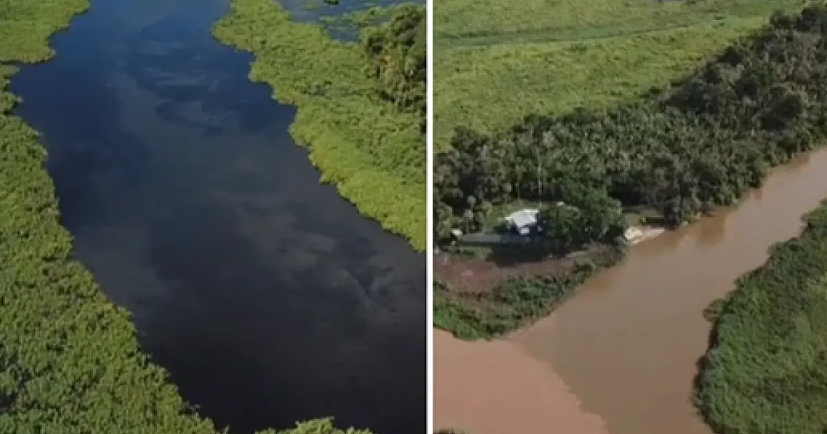 Novas imagens mostram a "agonia" do Rio Miranda com seca histórica