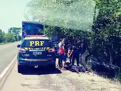 Alta velocidade faz motorista sair da pista e colidir em árvores na BR