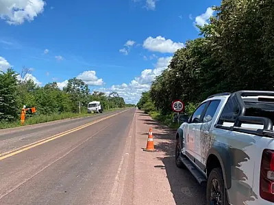 IHP coloca na BR-262 sinalização e câmeras para reduzir atropelamento de animais