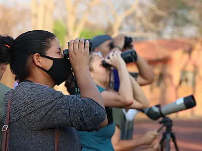 Destino de observação de aves, MS está no maior evento do segmento na América Latina