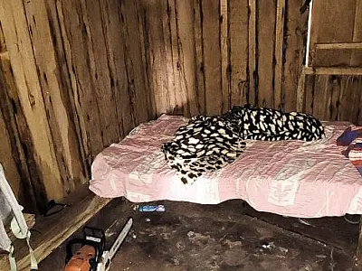 Seis trabalhadores são resgatados de trabalho análogo à escravidão em fazenda de MS