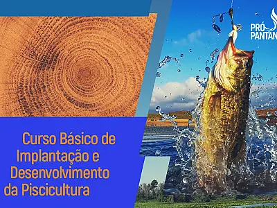 Inscrições abertas para curso básico de desenvolvimento de piscicultura no Pantanal