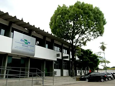 Inscrição em concurso público da Embrapa é prorrogada até 14 de janeiro