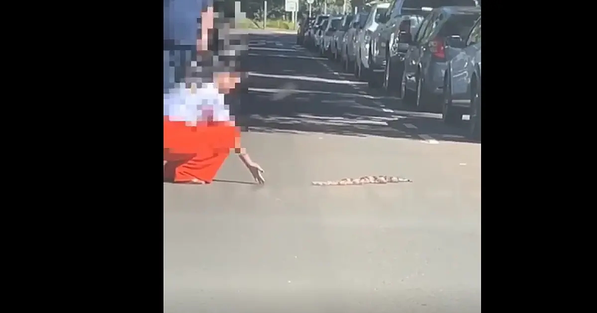 PMA orienta como agir ao se deparar com um animal silvestre