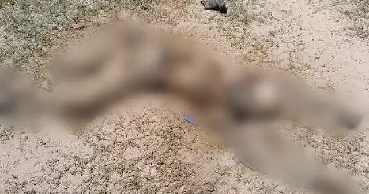 Integrante de comitiva é encontrado morto no Paiaguás