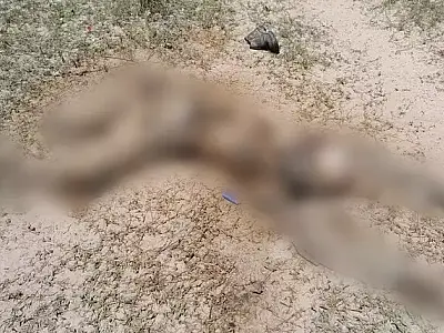 Integrante de comitiva é encontrado morto no Paiaguás