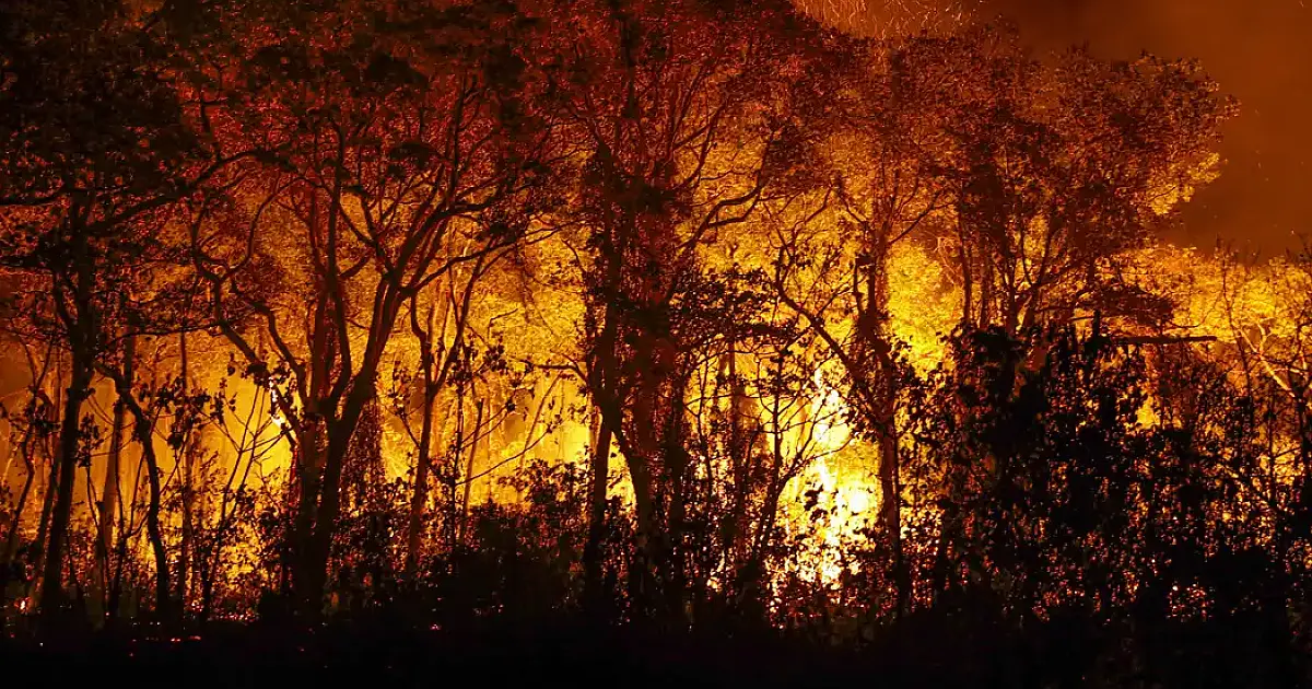 Pantanal tem mais de 3 mil incêndios em novembro; recorde histórico