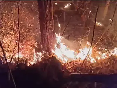 Bombeiros enfrentam combate noturno para conter incêndios na área urbana de Corumbá