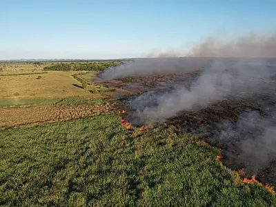 Bombeiros detém o fogo na divisa com Mato Grosso e mantém monitoramento na região