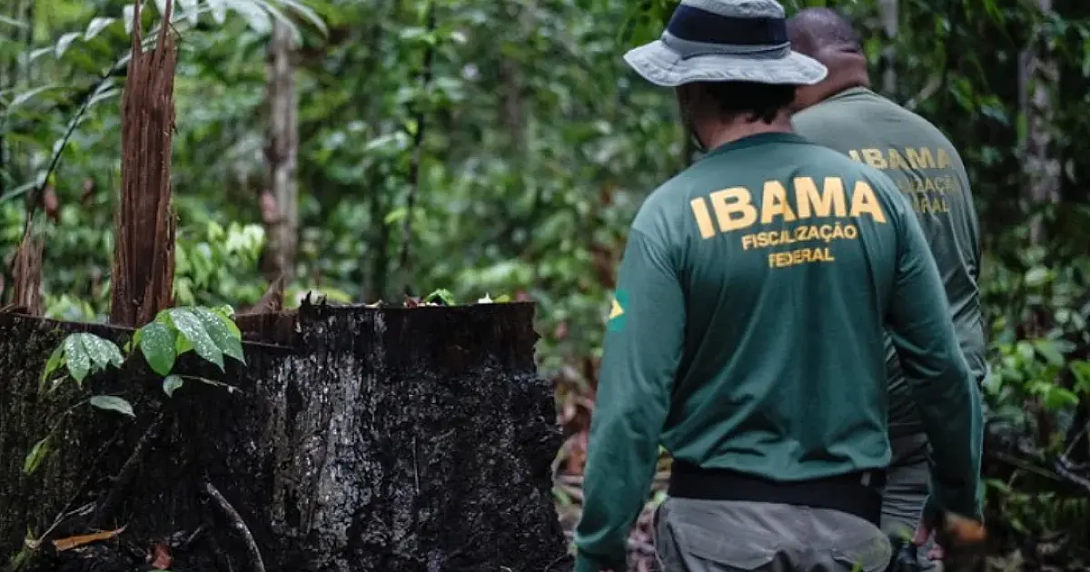 Portaria do Governo Federal autoriza concurso do Ibama com 460 vagas