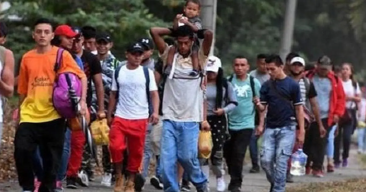 Sistema de cadastro aos imigrantes vai subsidiar programas e ações do governo