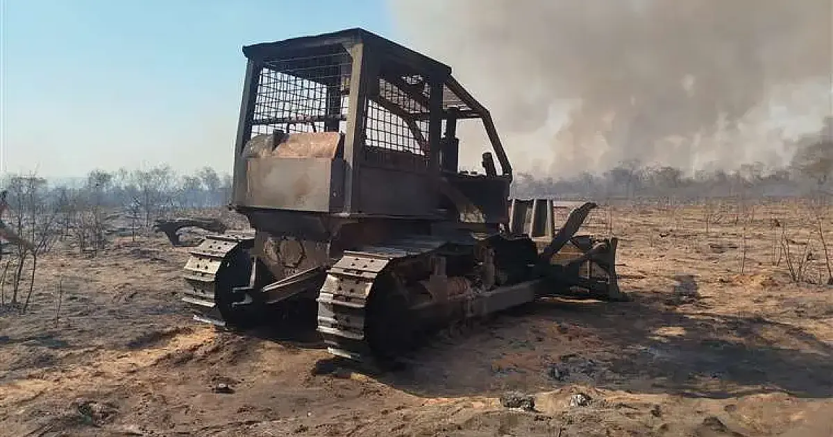 Incêndios florestais consomem mais de 10 mil hectares e deixam animais queimados em Roboré