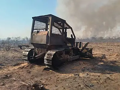 Incêndios florestais consomem mais de 10 mil hectares e deixam animais queimados em Roboré