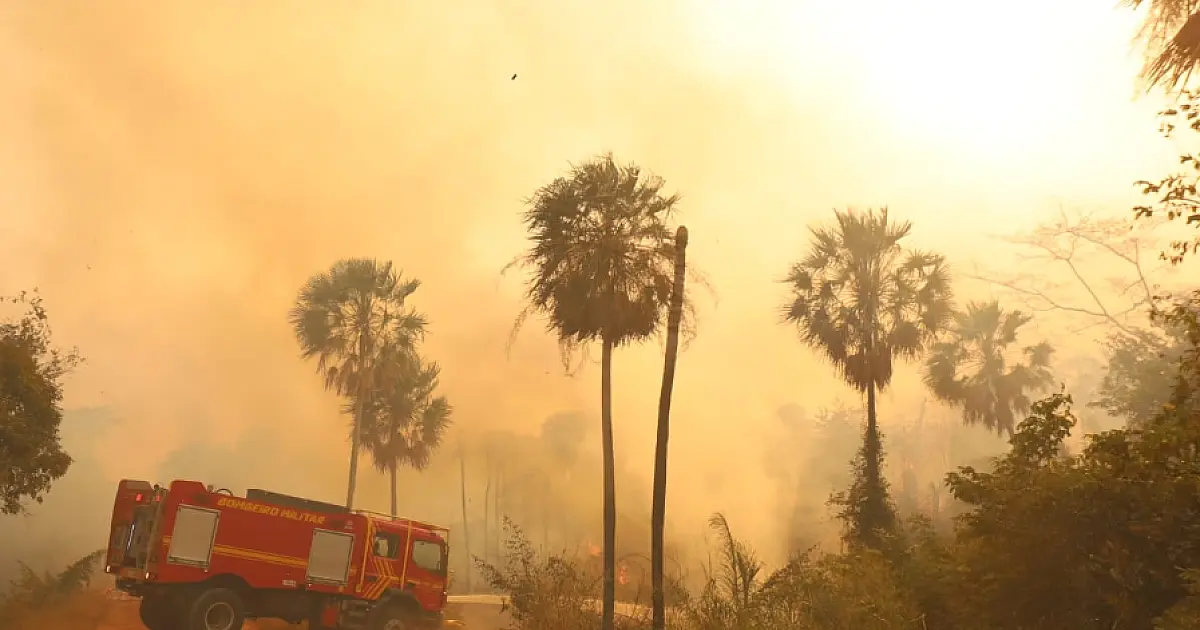 Fiscalização da PF contra incêndios no Pantanal seguirá até o fim deste ano