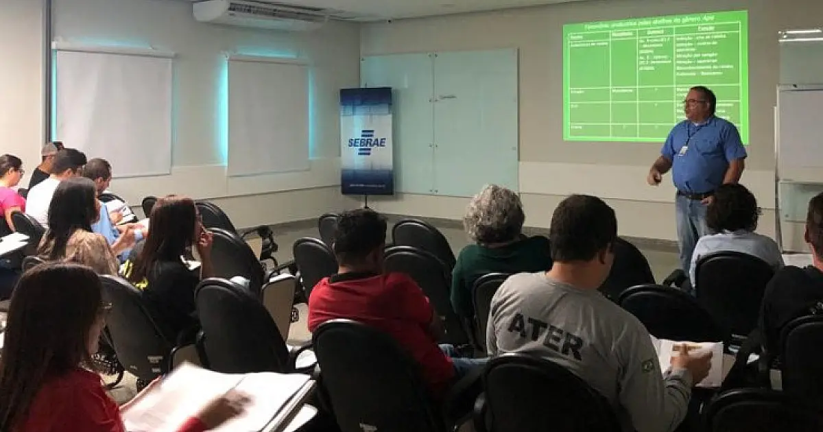 Técnicos recebem capacitação para reforçar cadeia produtiva do mel no Estado