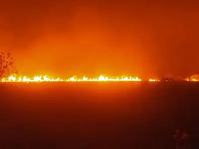 Corumbá está entre os municípios que mais sofrem com o impacto dos incêndios florestais no Brasil