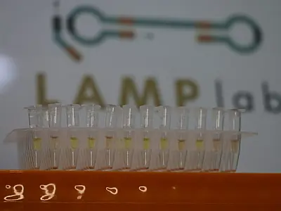 Pesquisadores de MS desenvolvem kit de diagnóstico rápido para leishmaniose