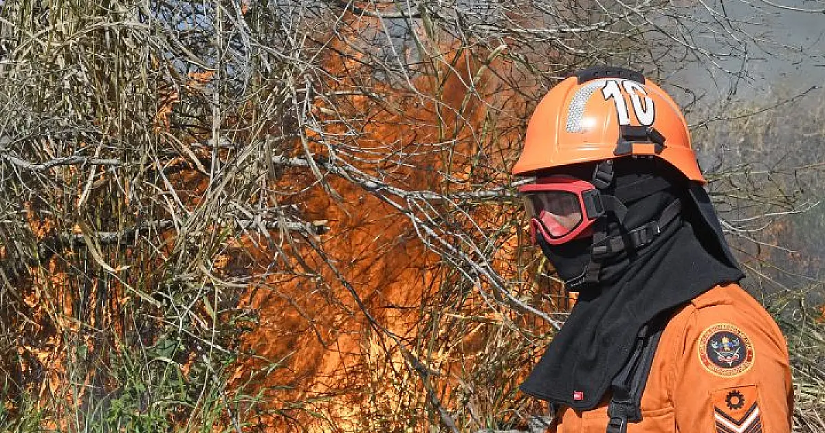 Campanha de Prevenção e Combate a Incêndios Florestais de MS é lançada nesta terça
